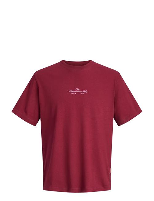 Jack & Jones | Jorcassis Photo Back Tee Ss Crew Neck | XXL