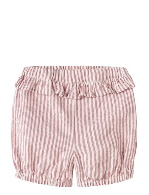name it | Nbfhipe Shorts | 68