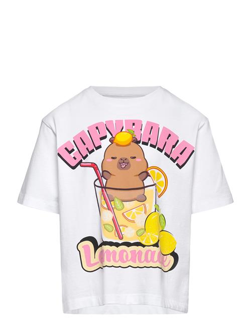name it | Nkfabina Capybara Ss Nreg Top Lnoos Sky | 146-152