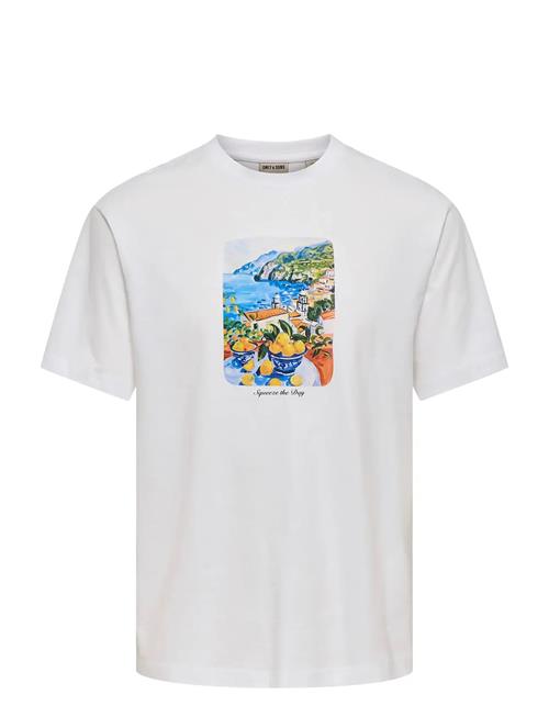ONLY & SONS | Onsfred Painting Life Rlx Ss Tee | XL
