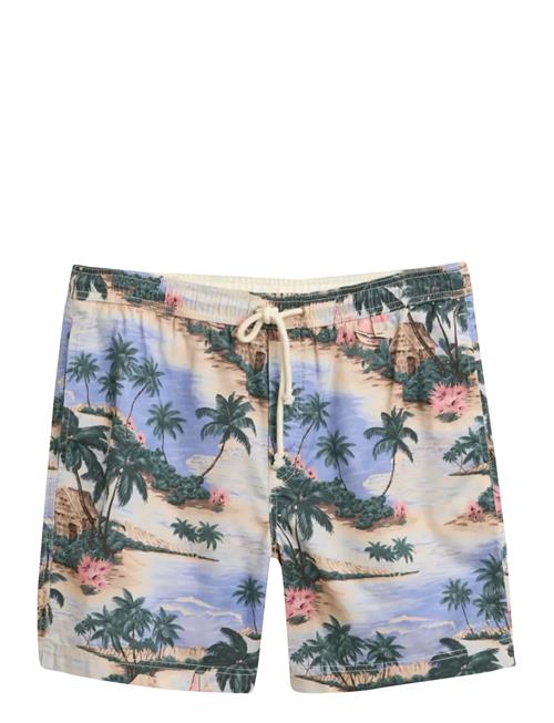 GANT | Reg Printed Ds Shorts | M