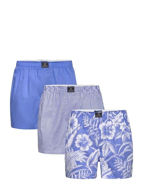 Polo Ralph Lauren | Cotton-3Pk-Bxr | L