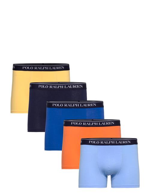 Polo Ralph Lauren | Bci Cotton/Elastane-5Pk-Trn | L