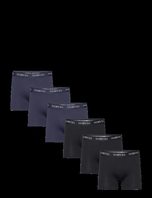 NORVIG | 6-Pack Mens Tights | L