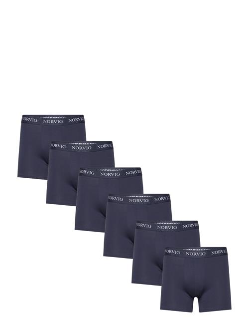 NORVIG | 6-Pack Mens Tights | L