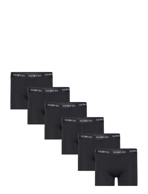 NORVIG | 6-Pack Mens Tights | L