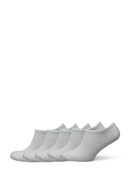 NORVIG | 5-Pack Mens No Show | 40/46