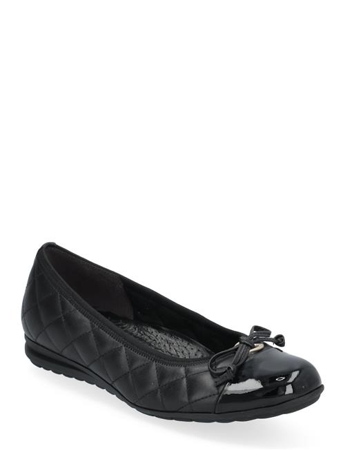 Gabor | Ballerina | 39