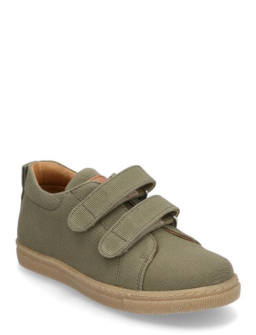 ANGULUS | Shoes - Flat - With Velcro | 32 x 20.90