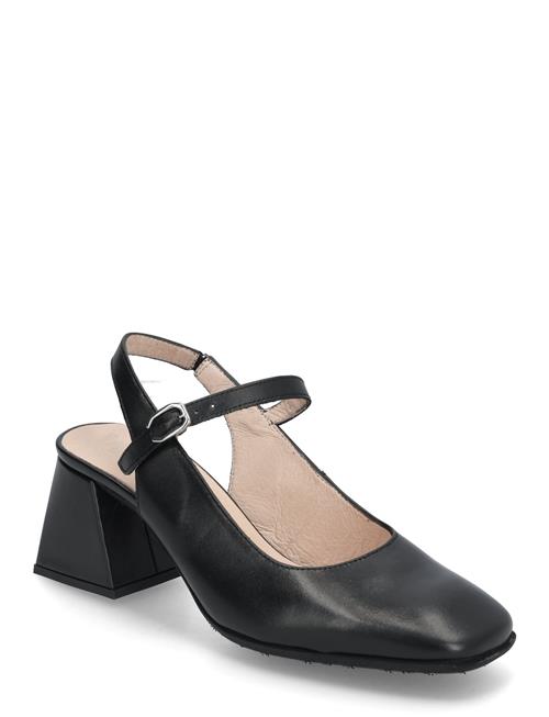 Wonders | Jane | 39