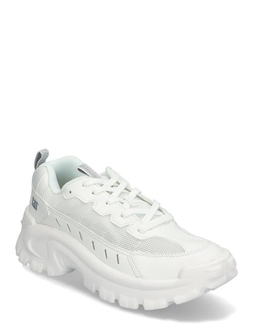 Caterpillar | Men's Intruder Lite Vent - Bright White | 46
