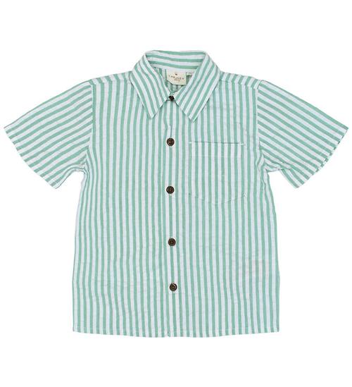 The New Siblings Skjorte - TnstTate - Creme De Menthe Striped