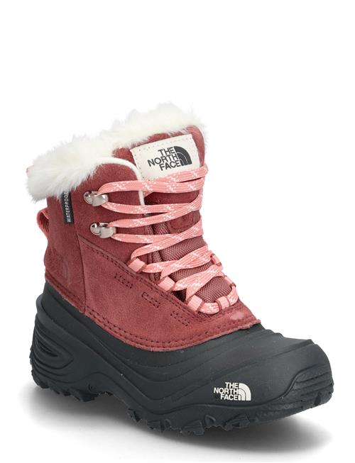 The North Face | Y Shellista V Lace Wp | 33.5
