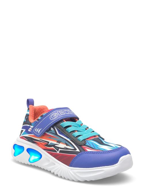 GEOX | J Assister Boy B | 30