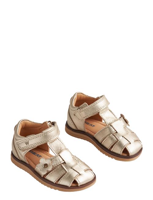 Wheat | Sandal Closed Toe Sky Flower | 22-13.9CM