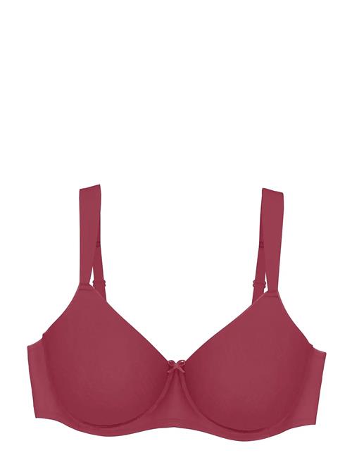 Triumph | Essential Minimizer T W X | F x 85