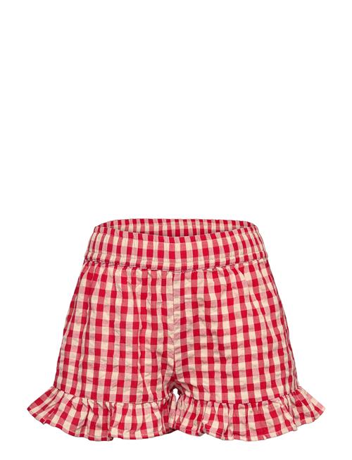 The New | Tnnally Shorts | 134/140