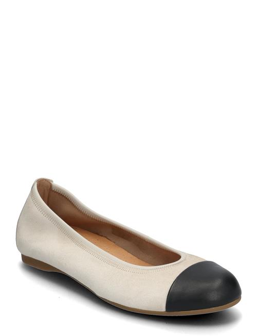 Gabor | Ballerina | 37.5