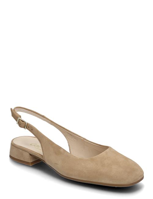 Gabor | Slingback | 40.5