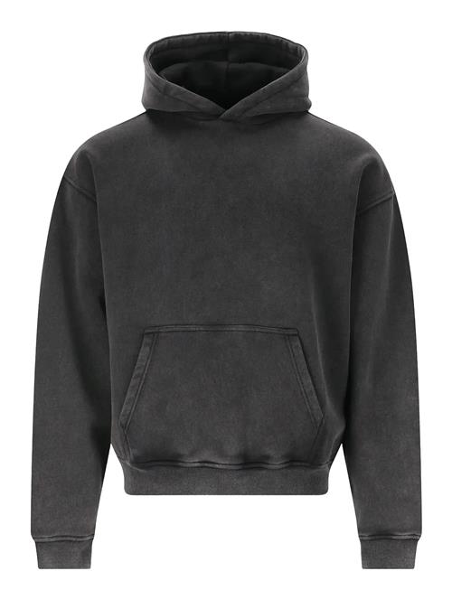 Virtus | Lloyd M Hoody | L