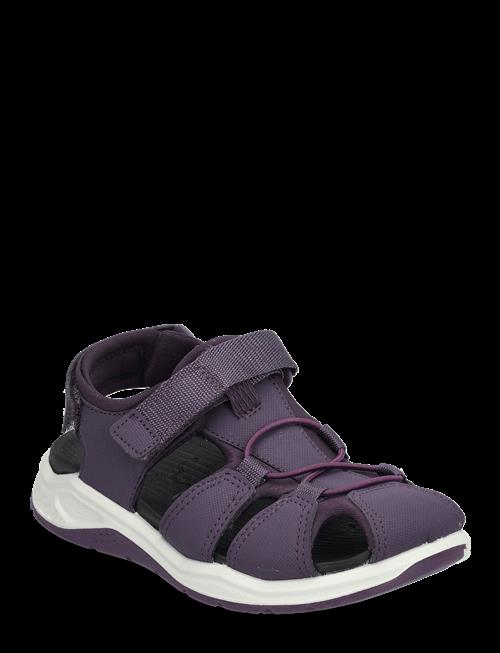 ECCO | X-Trinsic K | 31