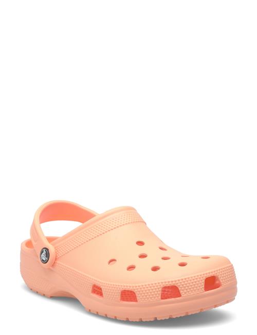 Crocs | Classic | 39/40