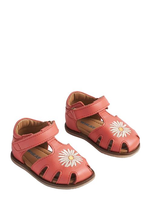 Wheat | Sandal Lowe | 23