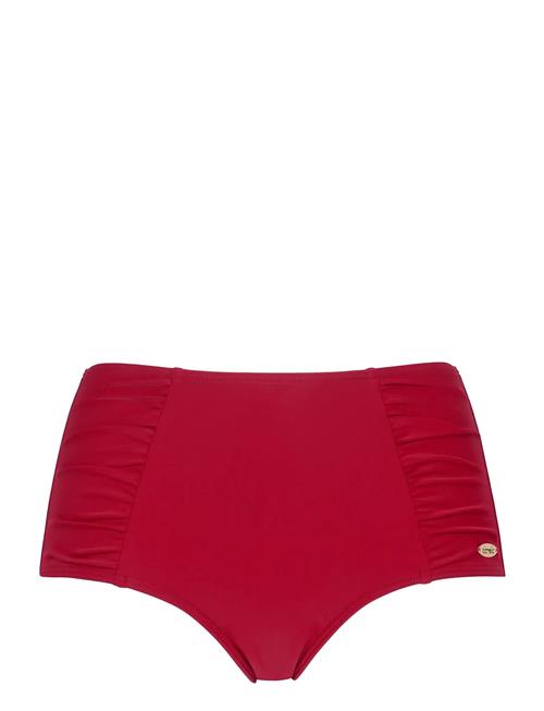 Damella of Sweden | Bikini Brief Maxi Meryl | 42