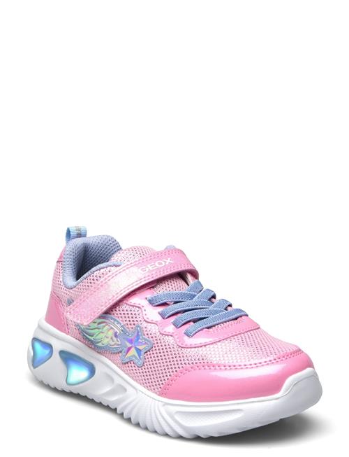 GEOX | J Assister Girl B | 29