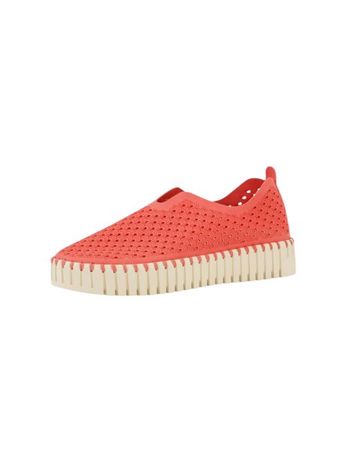 ILSE JACOBSEN Slip On 'TULIP'  koral