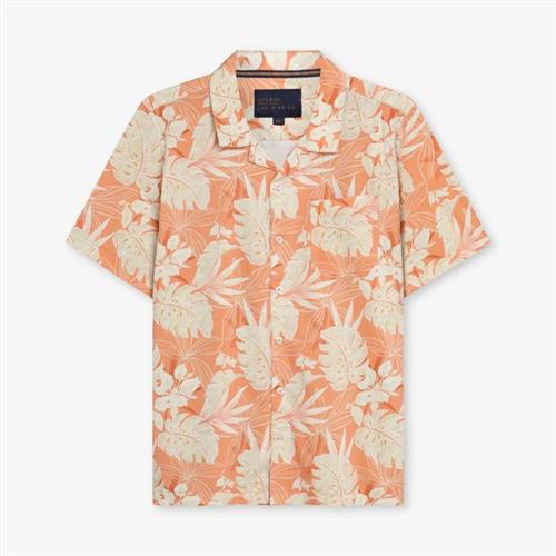 TobiasSi Aloha