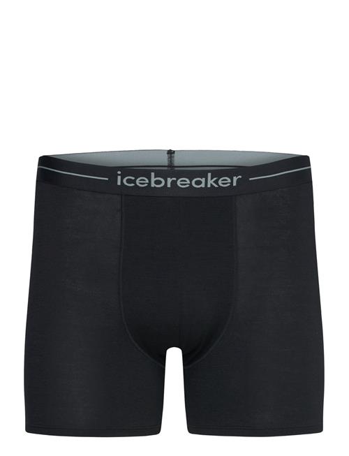 Icebreaker | M Anatomica Boxers | L