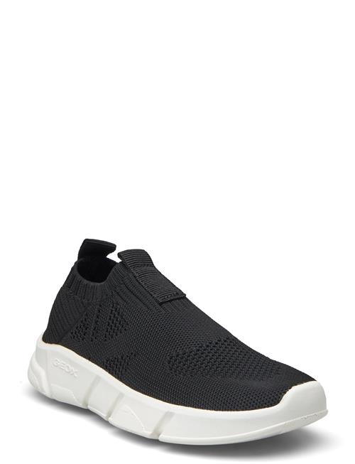 GEOX | J Aril Boy A | 37
