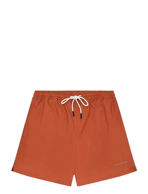 Knowledge Cotton Apparel | Stretch Swimshorts | M