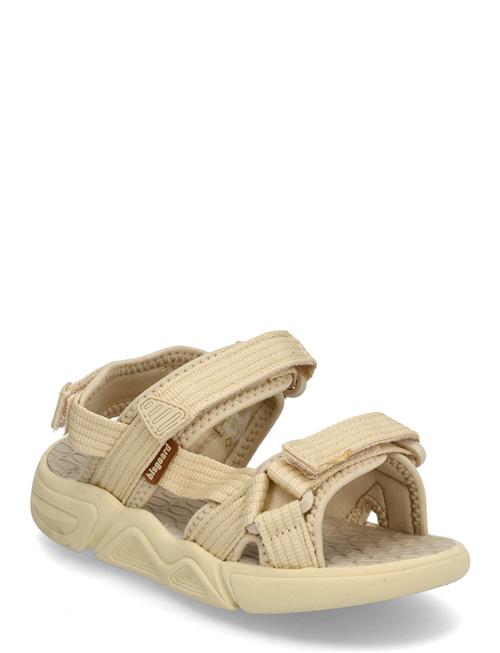 Bisgaard | Bisgaard Louis | 34