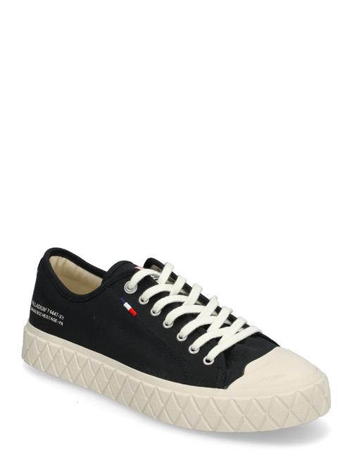 Palladium | Palla Ace Cvs Org | 39