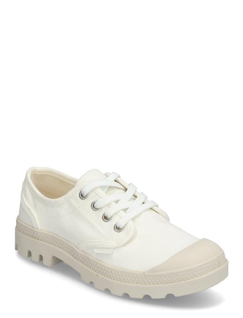 Palladium | Pampa Oxford | 40
