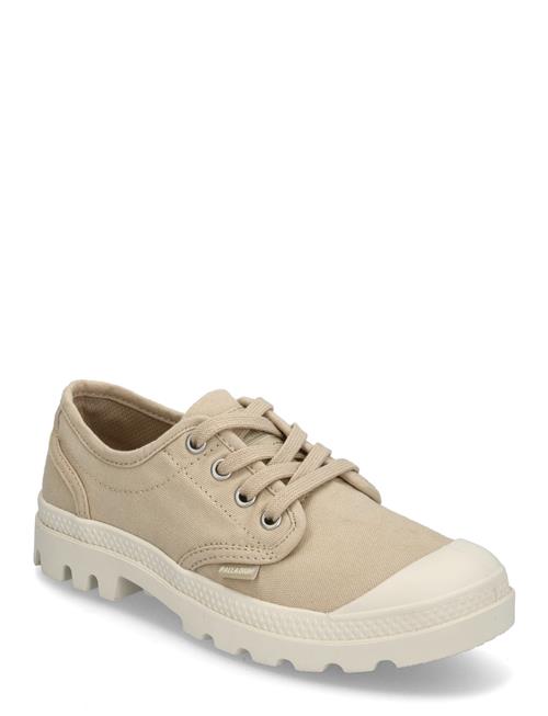 Palladium | Pampa Oxford | 37