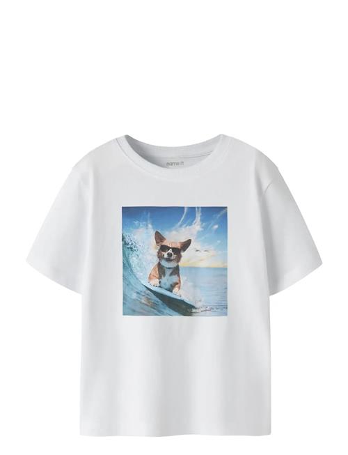 name it | Nmmvoto Ss Nreg Top | 92