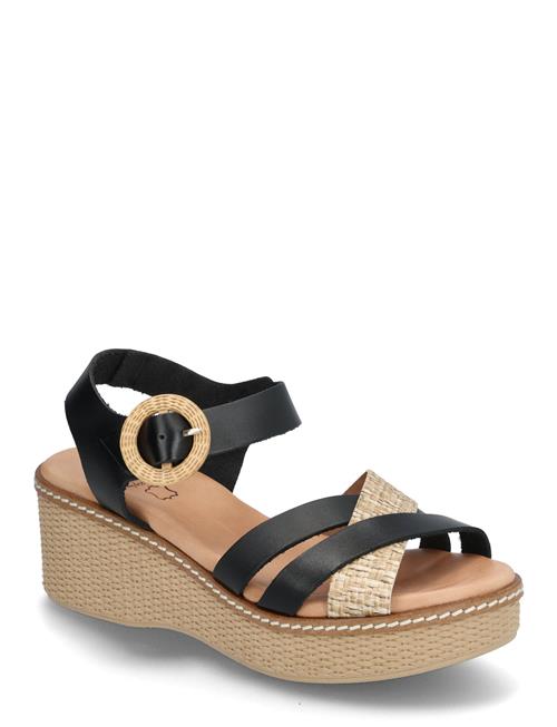 Dasia | Flora | 37