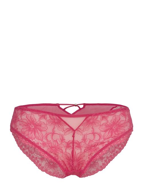 Dorina | Jemma Brief | S