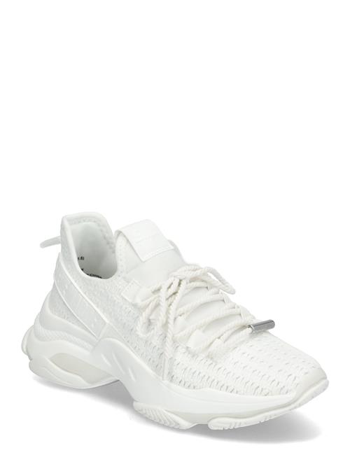 Steve Madden | Mileage Sneaker | 42