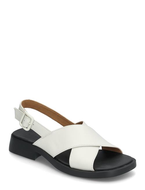 Camper | Dana | 38