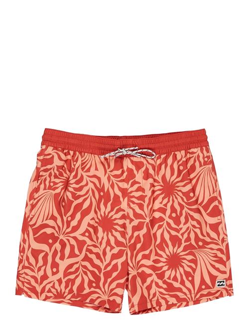 Billabong | Sundays Lb | S