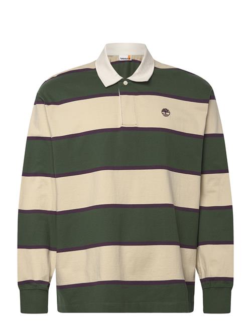 Timberland | Rugby Polo Shirt Pineneedle / Putty | S