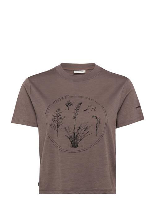 Icebreaker | W Mer 150 Tech Lite Ss Crop T Seed Stor | XS