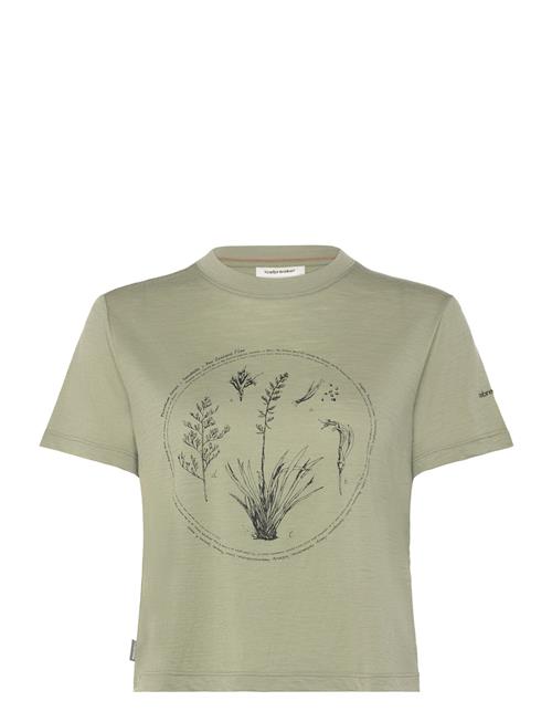 Icebreaker | W Mer 150 Tech Lite Ss Crop T Seed Stor | M