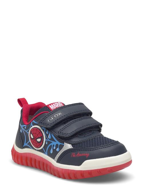 GEOX | B Lightyloo Boy C | 20
