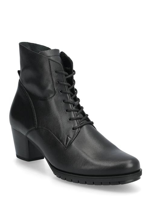 Gabor | Laced Ankle Boot | 39