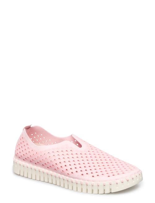 Ilse Jacobsen | Tulip3275 | 41